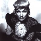 Marlene Dietrich 8x10 glossy photo #B4196