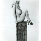 Unidentified Actress Model Nude 8x10 photo #Y0084