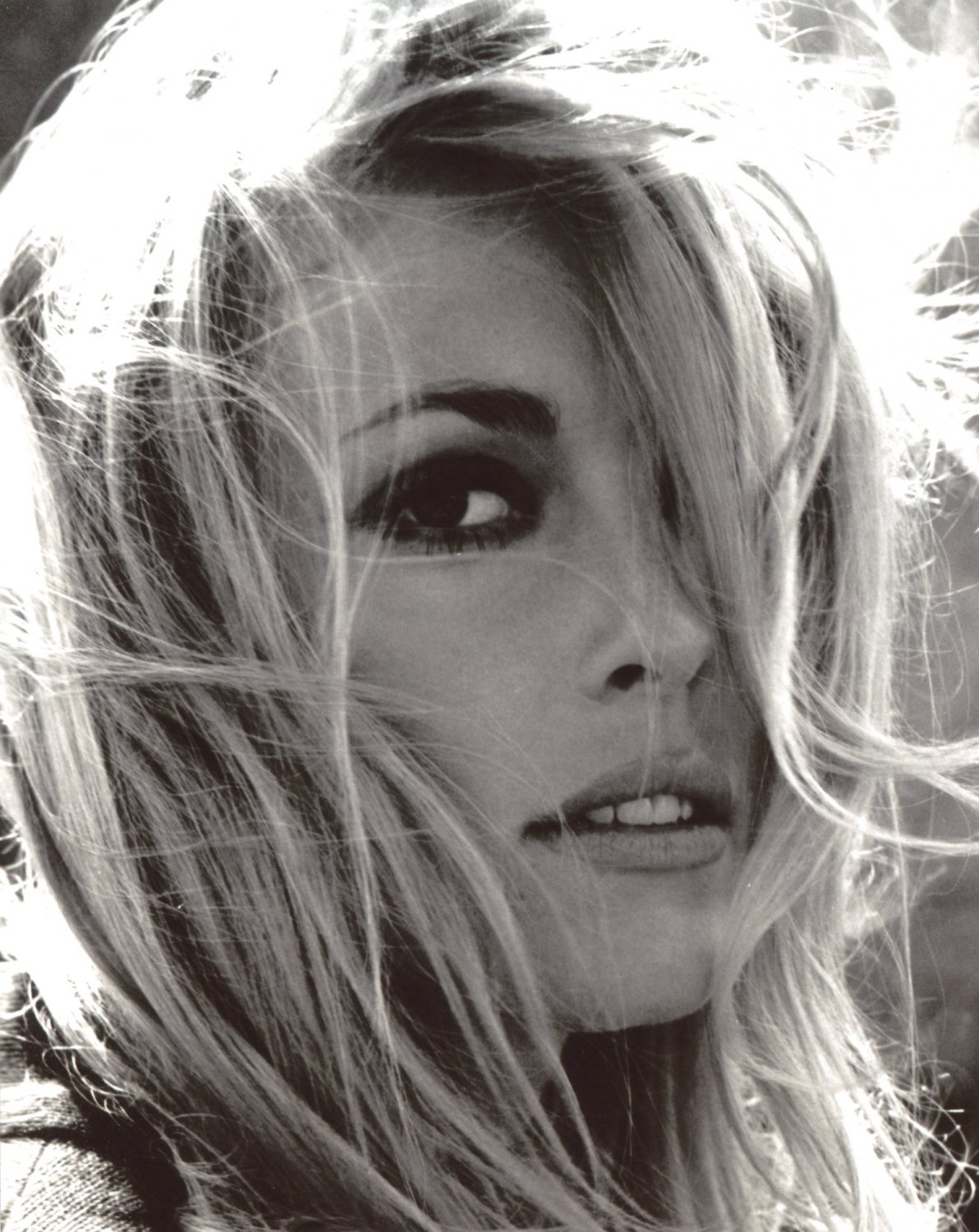 Sharon Tate 8x10 glossy photo #X8102