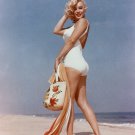 Marilyn Monroe leggy 8x10 glossy photo #W7139