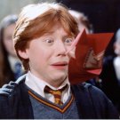 Rupert Grint Harry Potter 8x10 glossy photo #W7956