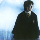 Daniel Radcliffe Harry Potter 8x10 glossy photo #W7957