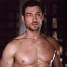 Spartacus Blood and Sand 8x10 glossy photo #W8233