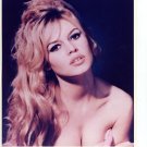 Brigitte Bardot 8x10 glossy photo #X0301
