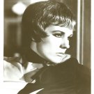 Julie Andrews 8x10 glossy photo #X4126