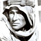 Peter O'Toole Lawrence of Arabia 8x10 glossy photo #Y2331