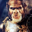 Planet of the Apes 8x10 glossy photo #N2723