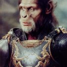Planet of the Apes 8x10 glossy photo #N2725