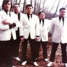 The Hives Music Group 8x10 glossy photo #N3054