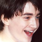 Daniel Radcliffe 4x6 glossy photo #N4162