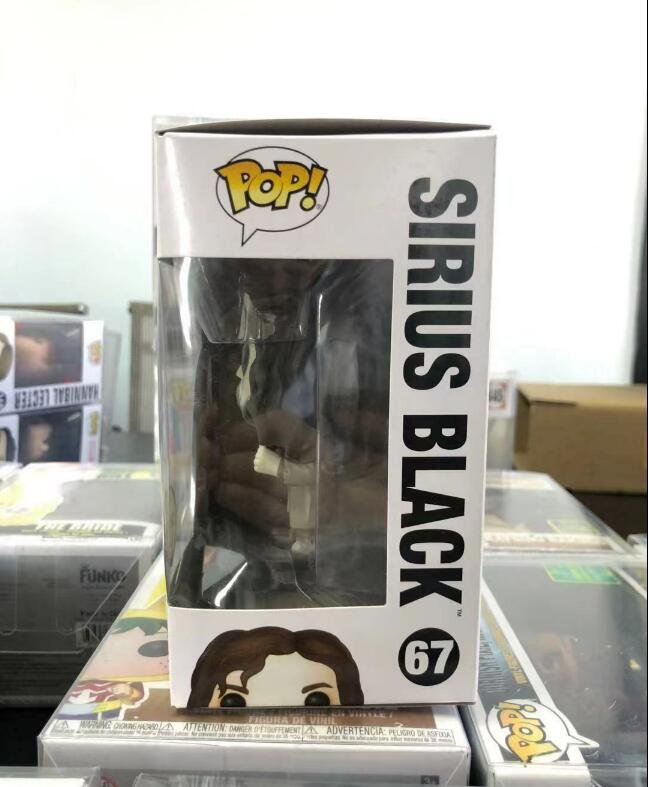 sirius black chase