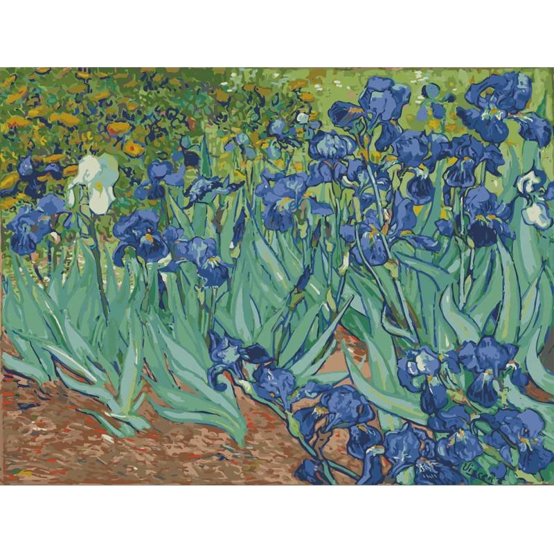 Irises by Vincent van Gogh DIY Paint by Numbers Kits for Adults Famous Art Coloring by Numbers