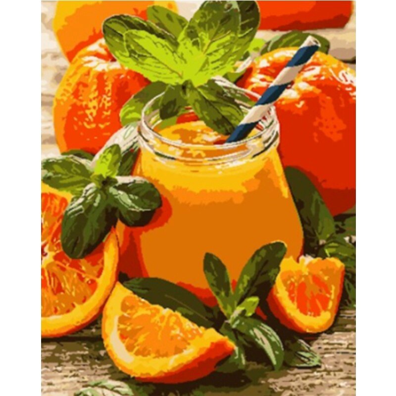 Fresh Orange Juice Still Life DIY Paint by Numbers Kit Adults