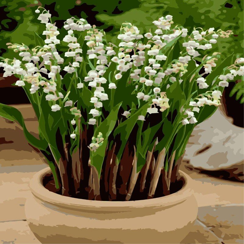 Lilies of the Valley DIY Paint by Number Kit Adults Beginners White