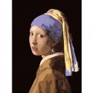 Girl with a Pearl Earring DIY Painting by Numbers Famous Art by Johannes Vermeer Paint on Canvas