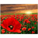 DIY Painting by Numbers Kit for Adults Beginners Poppy Field Landscape Flowers Oil Paint on Canvas