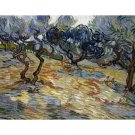 Olive Trees by Vincent van Gogh 1889 - Famous Paint by Number, Van Gogh Paint by Numbers