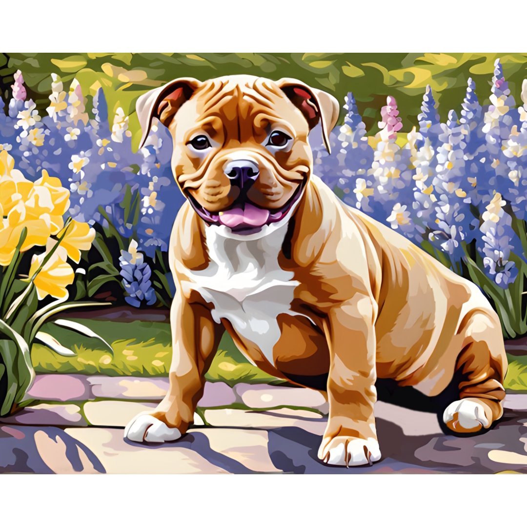 Staffordshire Bull Terrier - Paint by Numbers, DIY Oil Painting by Number Kits, Dog Portrait