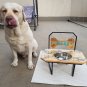Unique dog bowl feeder with resin lightning effect; Handmade bowl stand Size L