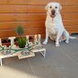 Handmade personalized modern bowl stand for pets, Unique dog feeder Size L
