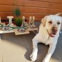 Handmade personalized modern bowl stand for pets, Unique dog feeder Size S