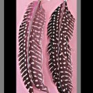 Black & Pink In Color Dangle Feather Earrings Tribal Ethnic Native Bohemian