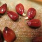 PROUDLY FRESH V. DELICIOUS CAROB TREE SEEDS UP TO 200 PCS خروب مصري