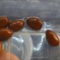 PROUDLY FRESH V. DELICIOUS CAROB TREE SEEDS UP TO 200 PCS خروب مصري