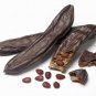 PROUDLY FRESH V. DELICIOUS CAROB TREE SEEDS UP TO 200 PCS خروب مصري