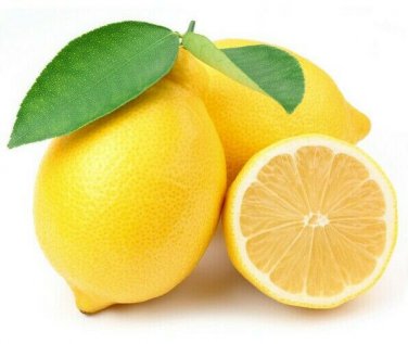 PROUDLY JUICY LIME 200+ LEMON FRUIT SEEDS Citrus Aurantifolia EGYPT V.PRODUCTIVE
