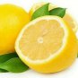 PROUDLY JUICY LIME 200+ LEMON FRUIT SEEDS Citrus Aurantifolia EGYPT V.PRODUCTIVE