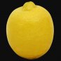 PROUDLY JUICY LIME 200+ LEMON FRUIT SEEDS Citrus Aurantifolia EGYPT V.PRODUCTIVE
