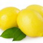 PROUDLY JUICY LIME 200+ LEMON FRUIT SEEDS Citrus Aurantifolia EGYPT V.PRODUCTIVE