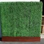 200 DODONAEA DODONIA HOP BUSH SEEDS EVER GREEN LEAVES FENCE PRIVACY WALL DODONEA