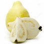 PROUDLY YELLOW EGYPT JUICY SWEET GUAVA SEEDS PSIDIUM GUAJAVA 300PCS GUAJA &Oslash;&not;&Ugrave;�&Oslash;&sect;&Ugrave;�&Oslash;&copy;