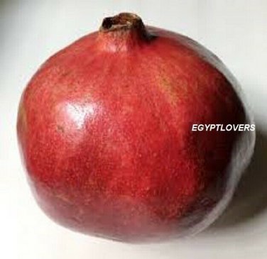 PROUDLY EGYPTIAN V.SWEET PRODUCTIVE Pomegranate SEEDS this season's harvest
