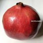 PROUDLY EGYPTIAN V.SWEET PRODUCTIVE Pomegranate SEEDS this season's harvest