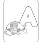 Alphabet Coloring Pages for Kids Vol 3