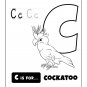 Alphabet Coloring Pages for Kids Vol 1