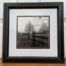 Fence in The Mist