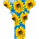 Key blanks. Sunflower Picture SC1 Schlage house key blank