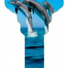 Key Blanks. Dolphins on the beach key blank.