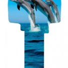 Key Blanks. Dolphins on the beach key blank.