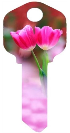 Key Blanks Tulip image printed key blank.