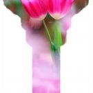 Key Blanks. Tulip image printed on a Key blank.