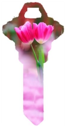 Key Blanks. Tulip image printed on a Key blank.