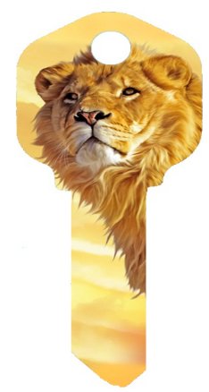 Key Blanks. Lion image printed key blank.