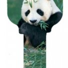 Key Blanks. Big Panda image printed on a key blank.