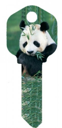 Key Blanks. Big Panda image printed on a key blank.