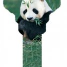Key Blanks. Big Panda image printed on a key blank.